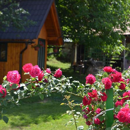 Appartement Ivona - Kuca Za Odmor Perusic - Stara Lika Extérieur photo
