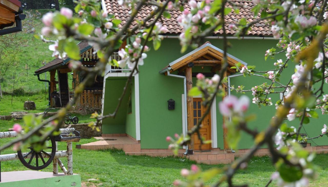 Appartement Ivona - Kuca Za Odmor Perusic - Stara Lika Extérieur photo