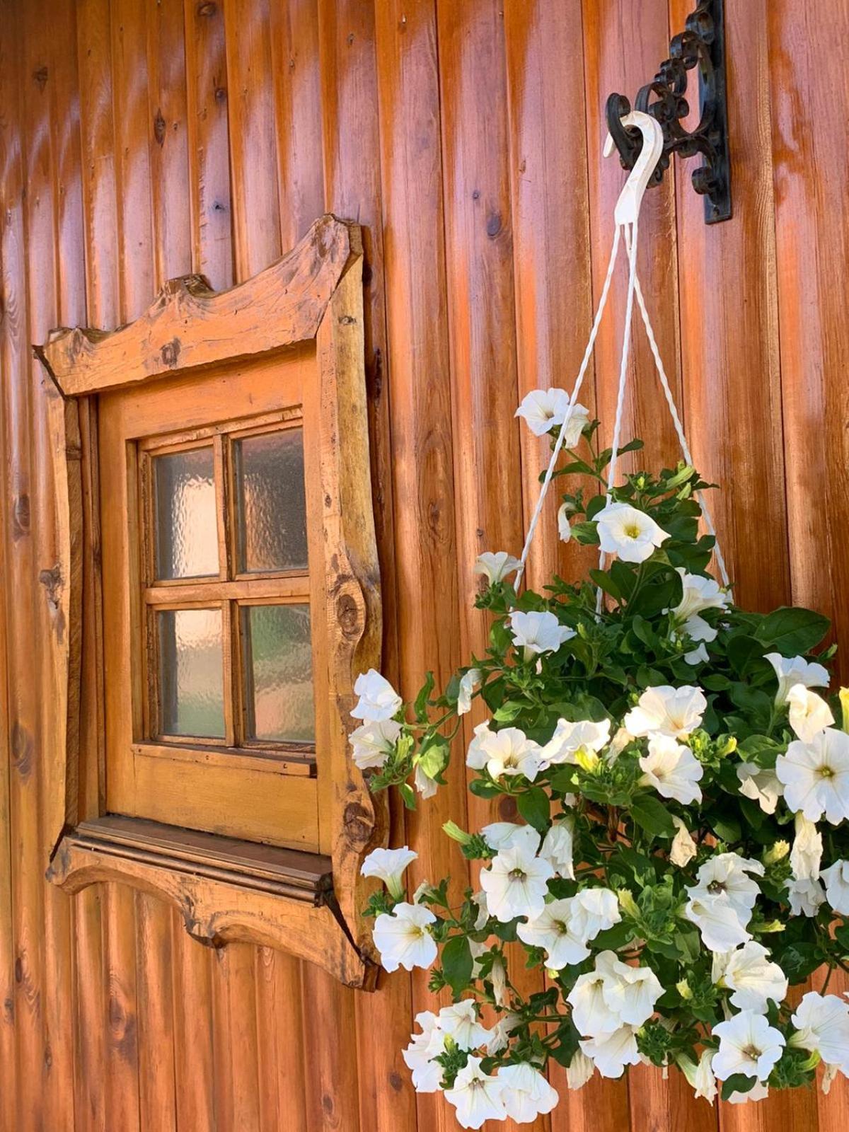 Appartement Ivona - Kuca Za Odmor Perusic - Stara Lika Extérieur photo