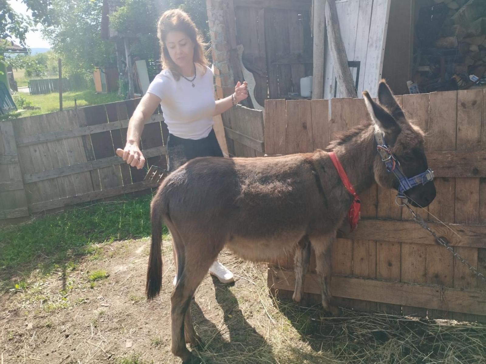 Appartement Ivona - Kuca Za Odmor Perusic - Stara Lika Extérieur photo